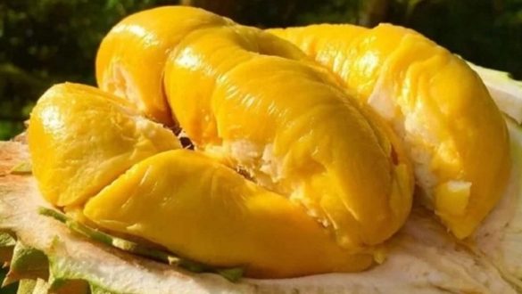 Sầu riêng Việt bán tại siêu thị Vương quốc Anh, 400 nghìn đồng/kg