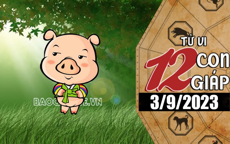Tử vi hôm nay, xem tử vi 12 con giáp hôm nay ngày 3/9/2023: Tuổi Hợi tăng tiền tiết kiệm Tử vi hôm nay, xem tử vi 12 con giáp hôm nay ngày 3/9/2023: Tuổi Hợi tăng tiền tiết kiệm