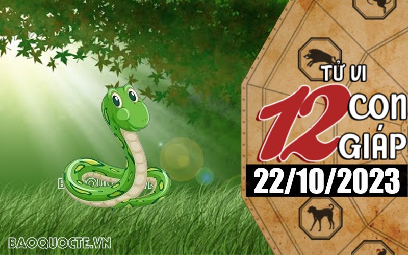 Tử vi hôm nay, xem tử vi 12 con giáp hôm nay ngày 22/10/2023: Tuổi Tỵ sự nghiệp hanh thông