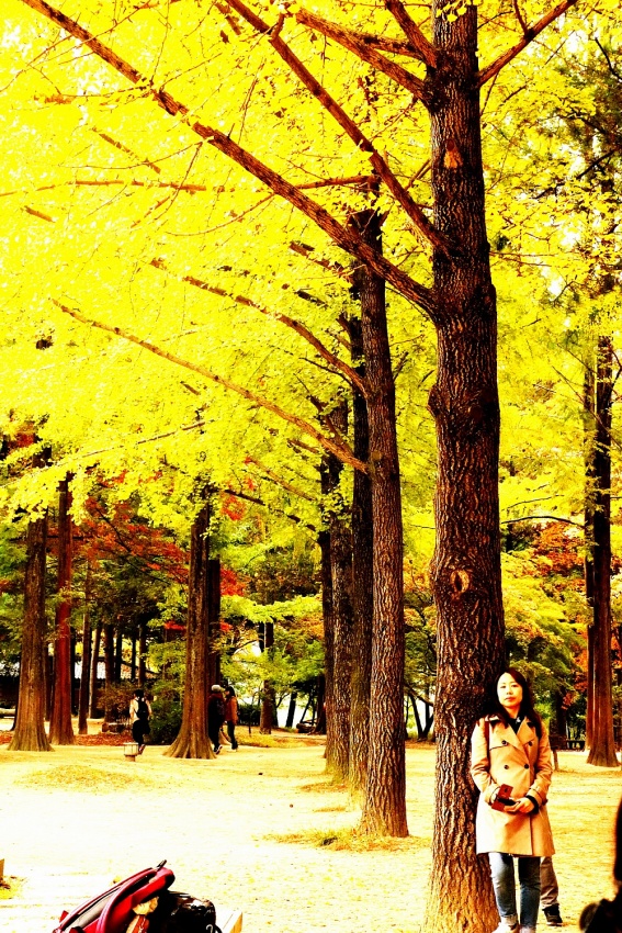 Seoul - Mùa đẹp nhất Seoul - Mùa đẹp nhất