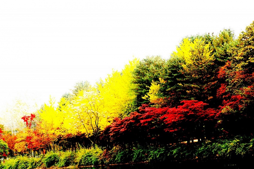 Seoul - Mùa đẹp nhất Seoul - Mùa đẹp nhất