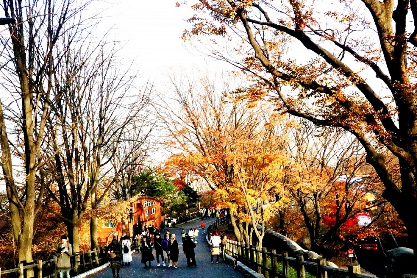 Seoul - Mùa đẹp nhất Seoul - Mùa đẹp nhất