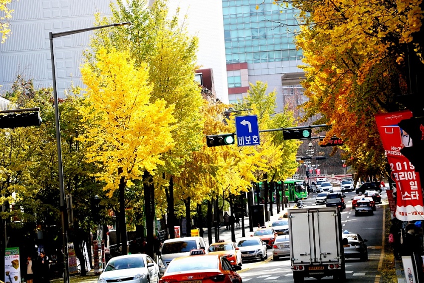 Seoul - Mùa đẹp nhất Seoul - Mùa đẹp nhất