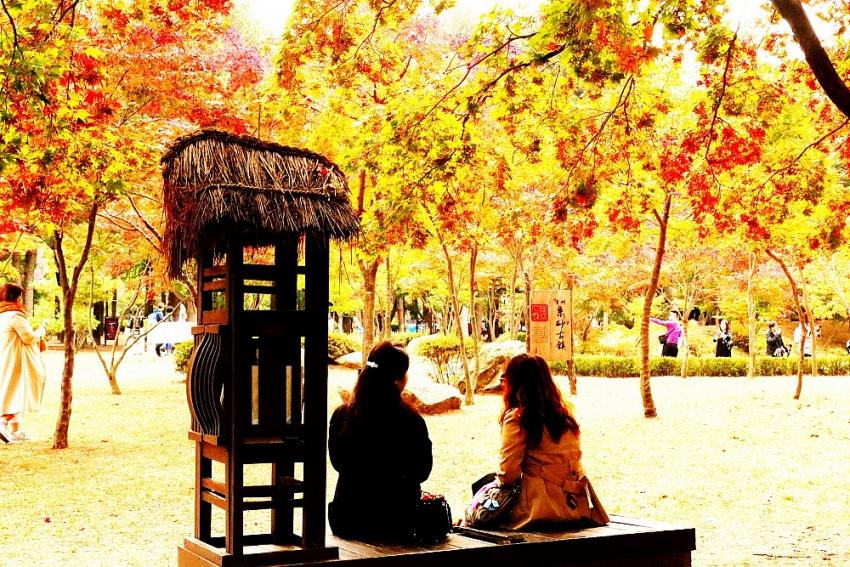 Seoul - Mùa đẹp nhất Seoul - Mùa đẹp nhất