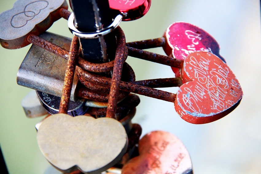 Những trái tim màu đỏ trong mưa Những trái tim màu đỏ trong mưa