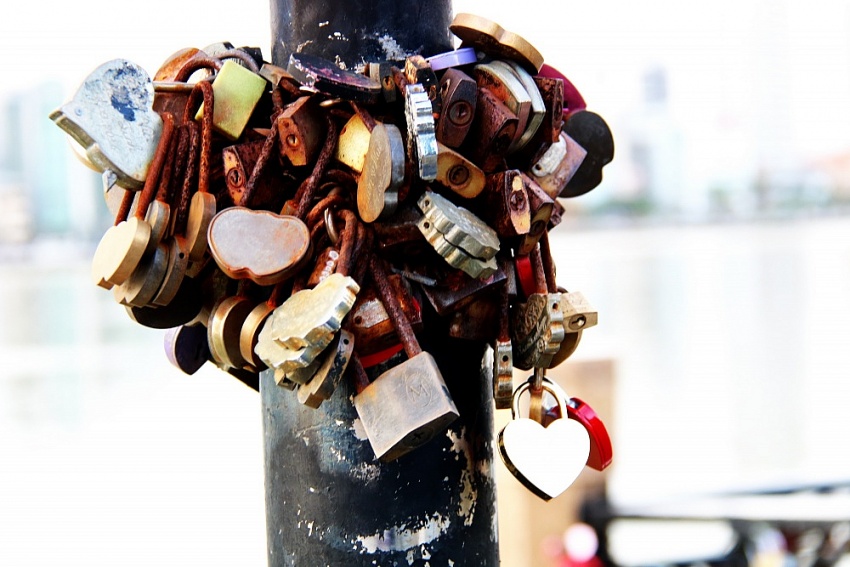 Những trái tim màu đỏ trong mưa Những trái tim màu đỏ trong mưa