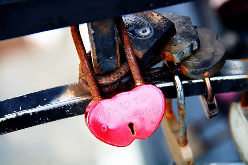 Những trái tim màu đỏ trong mưa Những trái tim màu đỏ trong mưa