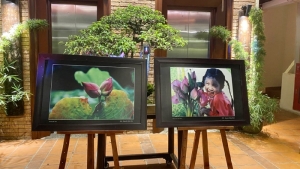 Sen trong đời sống văn hóa Việt