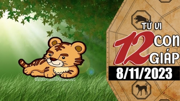 Tử vi hôm nay, xem tử vi 12 con giáp hôm nay ngày 8/11/2023: Tuổi Dần sự nghiệp phát triển vượt bậc