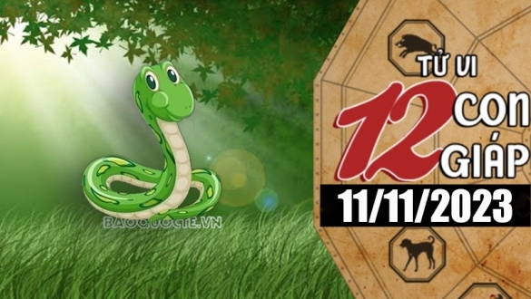 Tử vi hôm nay, xem tử vi 12 con giáp hôm nay ngày 11/11/2023: Tuổi Tỵ công việc phát triển