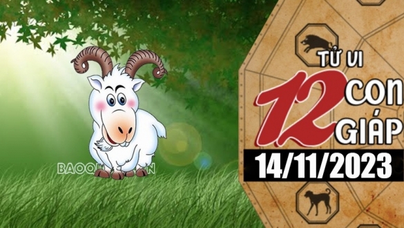 Tử vi hôm nay, xem tử vi 12 con giáp hôm nay ngày 14/11/2023: Tuổi Mùi sự nghiệp tiến bộ vượt bậc