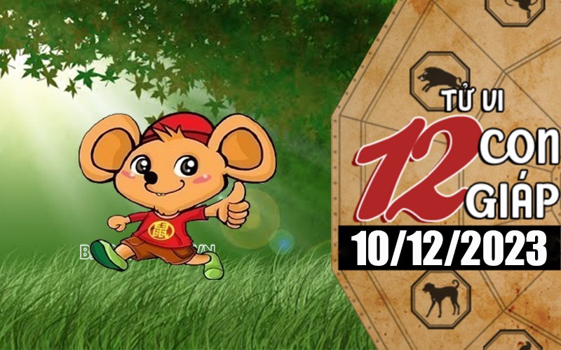 Tử vi hôm nay, xem tử vi 12 con giáp hôm nay ngày 10/12/2023: Tuổi Tỵ công việc may mắn Tử vi hôm nay, xem tử vi 12 con giáp hôm nay ngày 10/12/2023: Tuổi Tỵ công việc may mắn