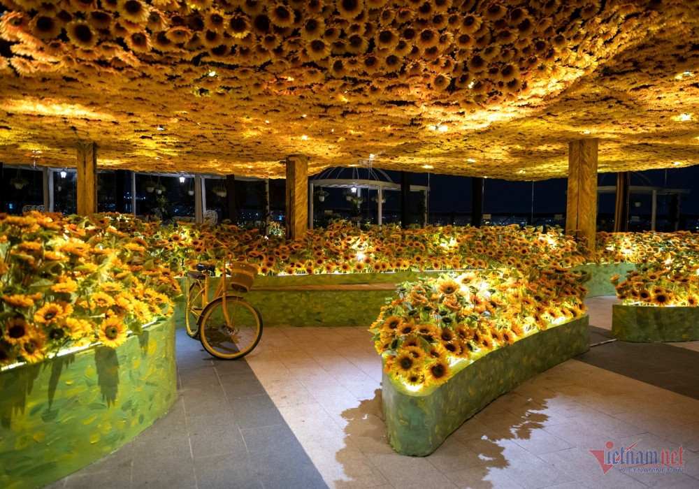 Thú vị triển lãm tương tác đa giác quan Van Gogh lần đầu tiên tại Việt Nam W-batch-ddhue-8251-1.jpg