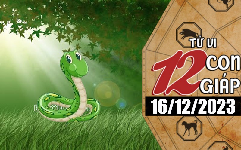 Tử vi hôm nay, xem tử vi 12 con giáp hôm nay ngày 16/12/2023: Tuổi Tỵ tiền bạc may mắn Tử vi hôm nay, xem tử vi 12 con giáp hôm nay ngày 16/12/2023: Tuổi Tỵ tiền bạc may mắn