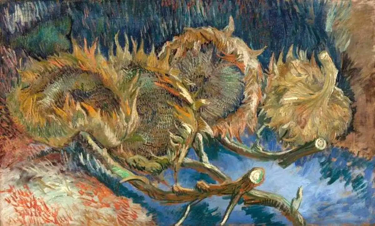 Lý do Van Gogh vẽ tới 10 bức tranh hoa hướng dương huong duong 4.jpg