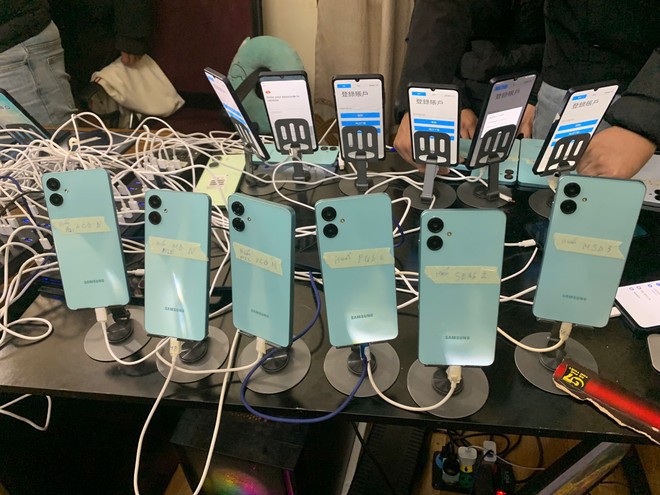 Các tang vật bị thu giữ