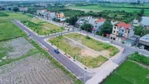 Tăng mức đặt cọc đấu giá đất lên tới 50%