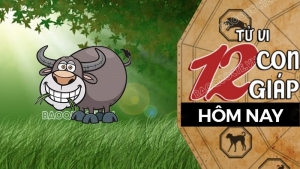 Tử vi hôm nay, xem tử vi 12 con giáp hôm nay ngày 16/1/2026: Tuổi Sửu hợp tác tốt đẹp