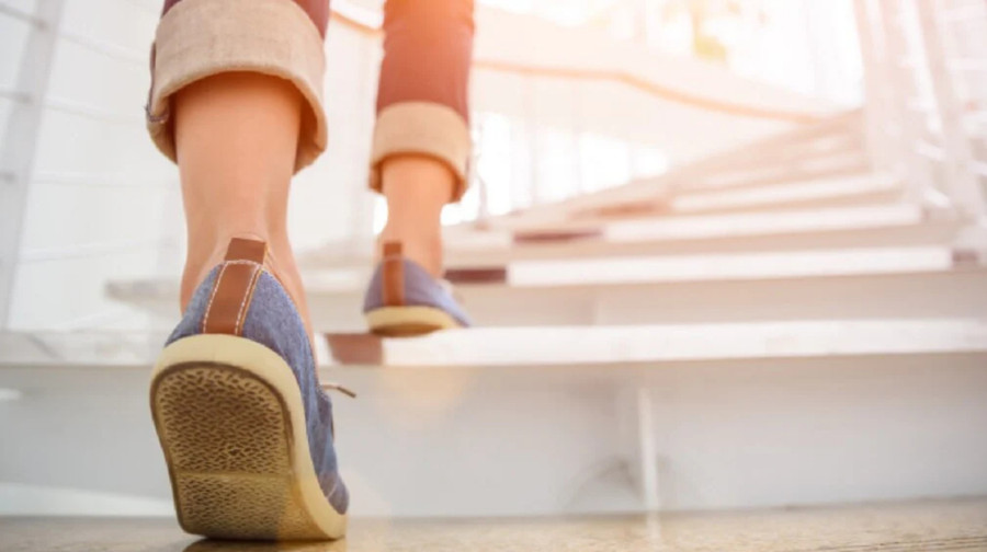 Tại sao leo cầu thang đốt mỡ gấp 3 lần so với đi bộ?