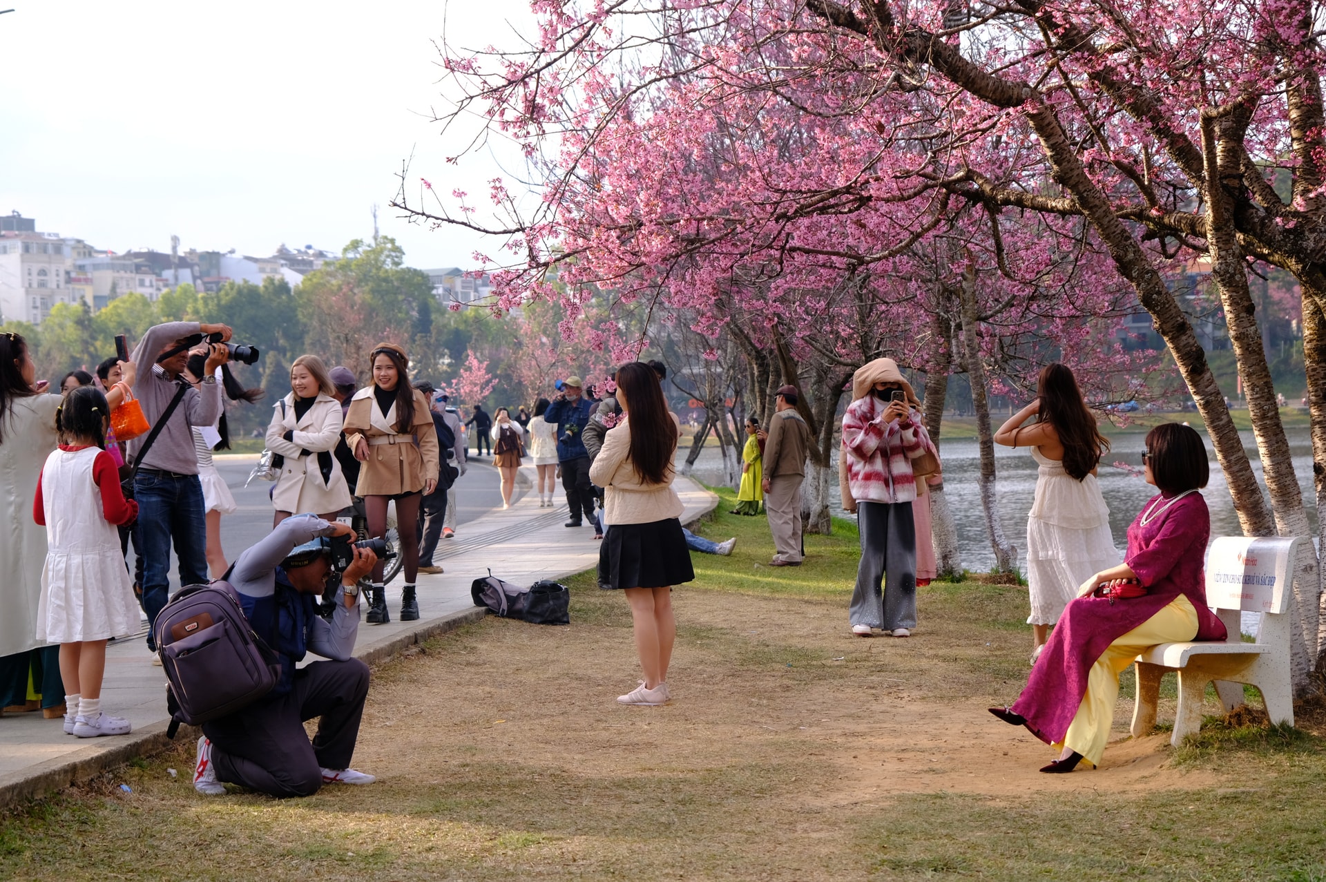 Ðà Lạt mùa xuân - sắc hồng vẫy gọi