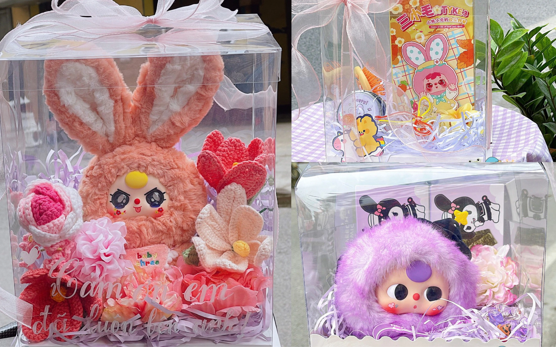 Hoa vĩnh cửu và Baby three lên ngôi ngày Valentine 2025 Hoa vĩnh cửu và Baby three lên ngôi ngày Valentine 2025