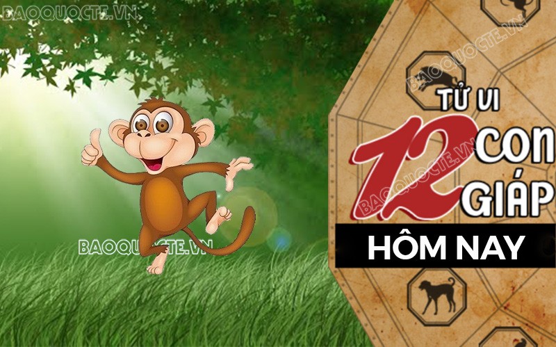 Tử vi hôm nay, xem tử vi 12 con giáp hôm nay ngày 16/2/2025: Tuổi Thân mối quan hệ tốt đẹp Tử vi hôm nay, xem tử vi 12 con giáp hôm nay ngày 16/2/2025: Tuổi Thân mối quan hệ tốt đẹp