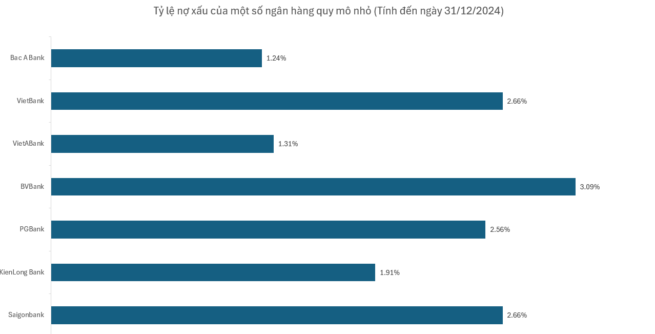 Nhóm ngân hàng quy mô nhỏ nhất thị trường làm ăn ra sao trong năm 2024?