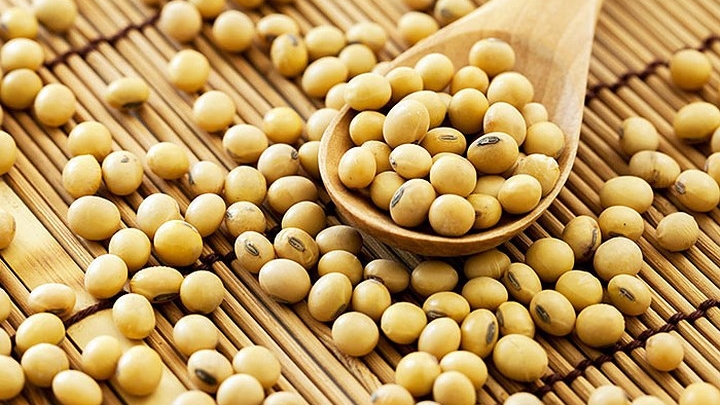 Lợi ích sức khỏe và tác dụng chữa bệnh của đậu nành