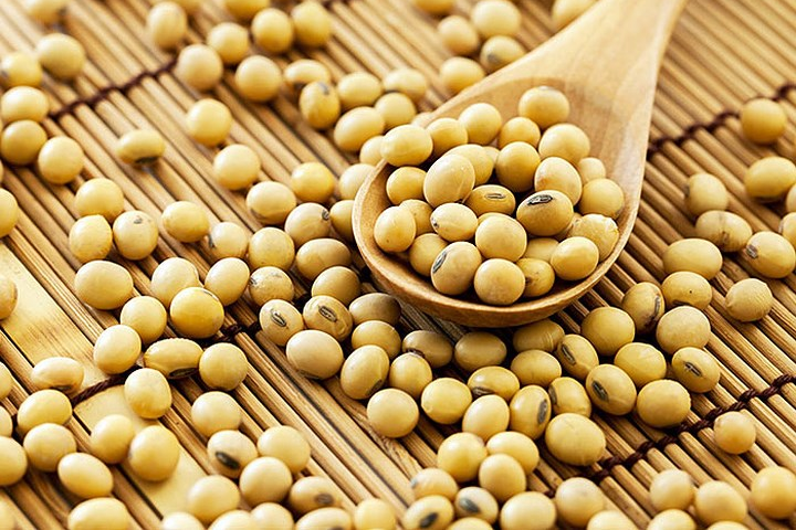 Lợi ích sức khỏe và tác dụng chữa bệnh của đậu nành Lợi ích sức khỏe và tác dụng chữa bệnh của đậu nành