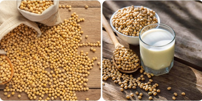 Lợi ích sức khỏe và tác dụng chữa bệnh của đậu nành Lợi ích sức khỏe và tác dụng chữa bệnh của đậu nành