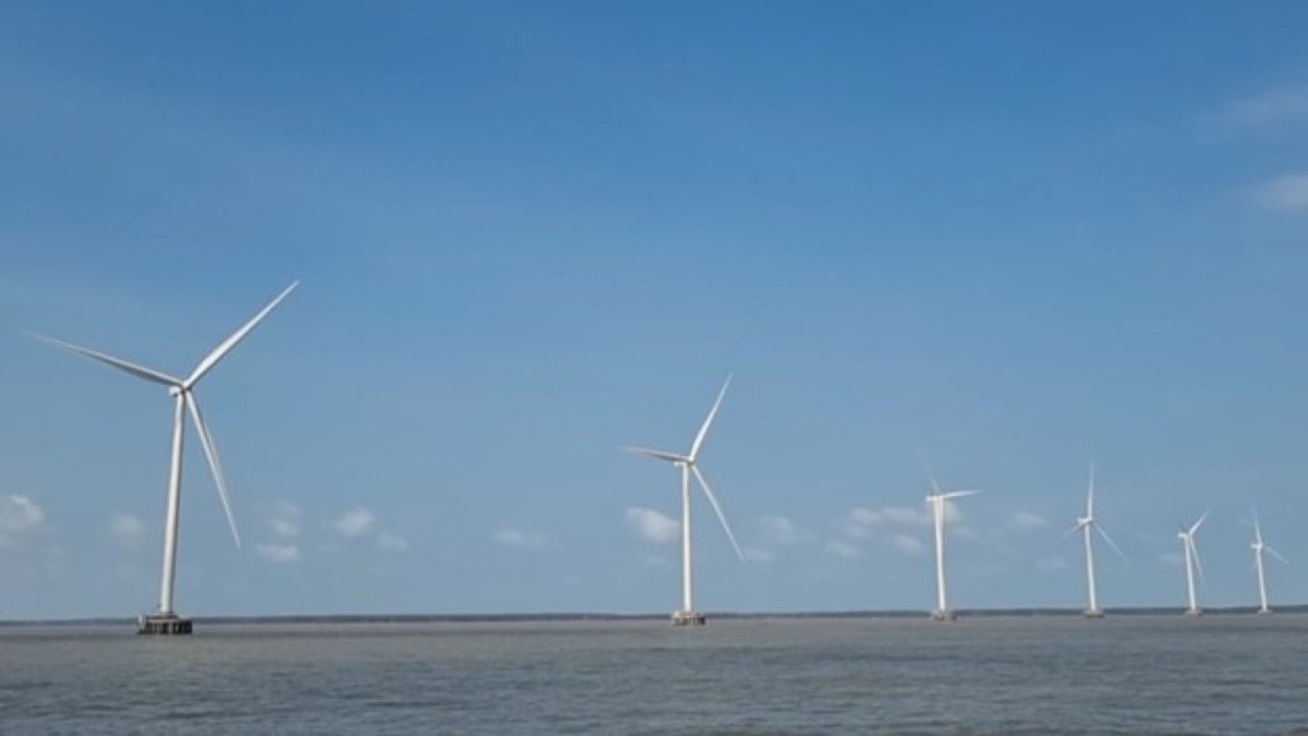 Điện gió ngoài khơi: Trụ cột năng lượng mới của Việt Nam? Điện gió ngoài khơi: Trụ cột năng lượng mới của Việt Nam?