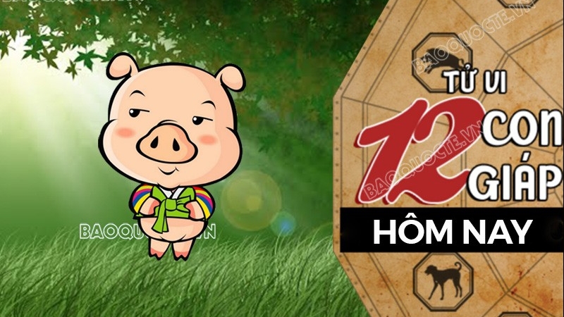 Tử vi hôm nay, xem tử vi 12 con giáp hôm nay ngày 14/2/2026: Tuổi Hợi công việc may mắn