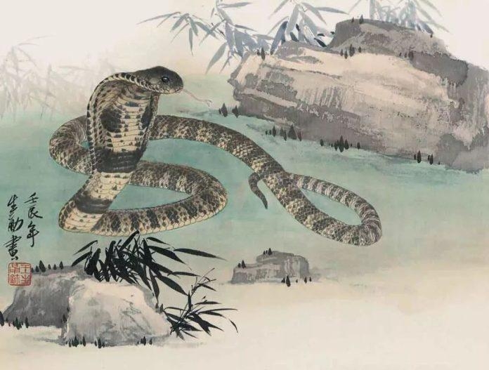 Tử vi 12 con giáp ngày 4/3/2024: Tuổi Tỵ công việc tạm ổn