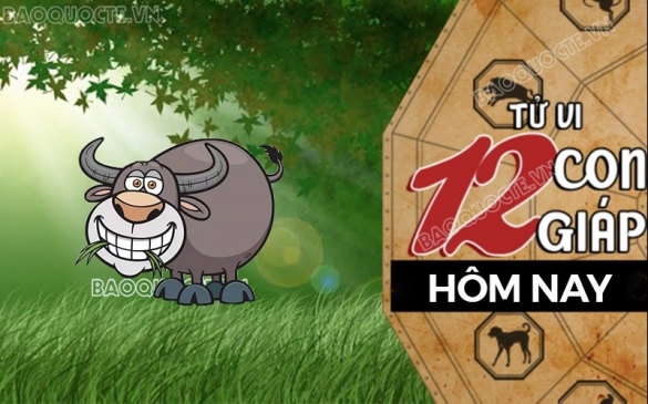 Tử vi hôm nay, xem tử vi 12 con giáp hôm nay ngày 8/3/2025: Tuổi Sửu chi tiêu cần tiết kiệm