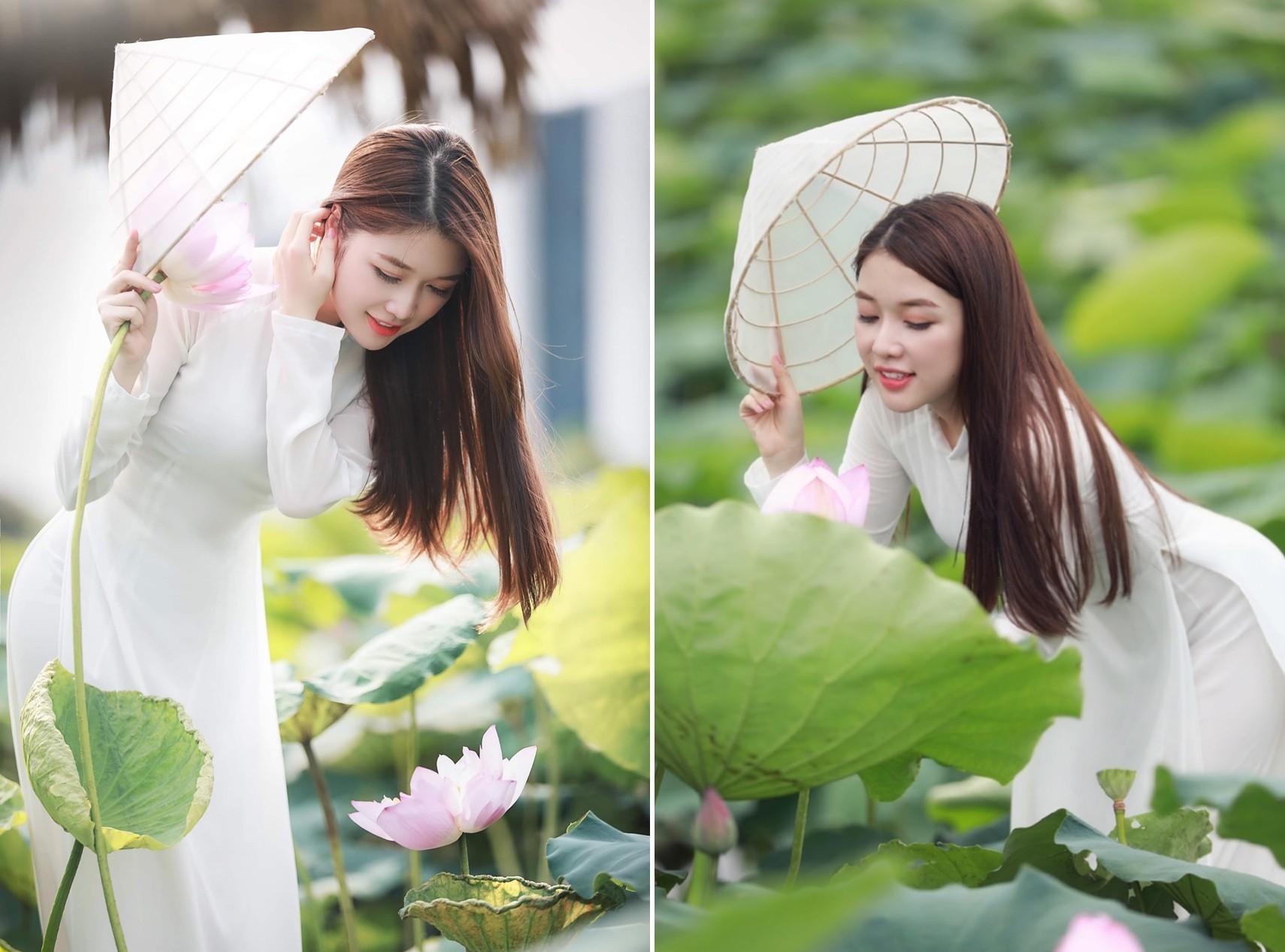 10 loại thảo dược giúp tăng cường sức khỏe và làm đẹp