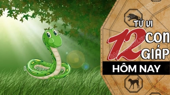 Tử vi hôm nay, xem tử vi 12 con giáp hôm nay ngày 12/3/2025: Tuổi Tỵ may mắn về tài chính