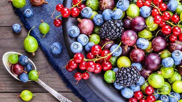 Thực phẩm giàu protein và chất xơ: Chìa khóa vàng giúp giảm cân nhanh chóng