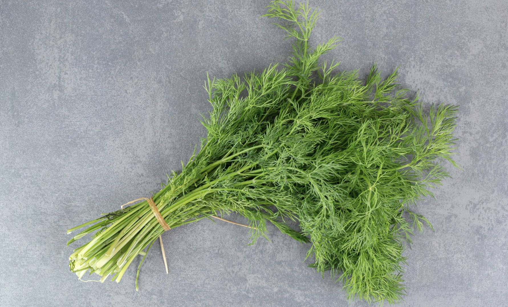 6 món quen thuộc giúp hệ tiêu hóa khỏe mạnh hơn