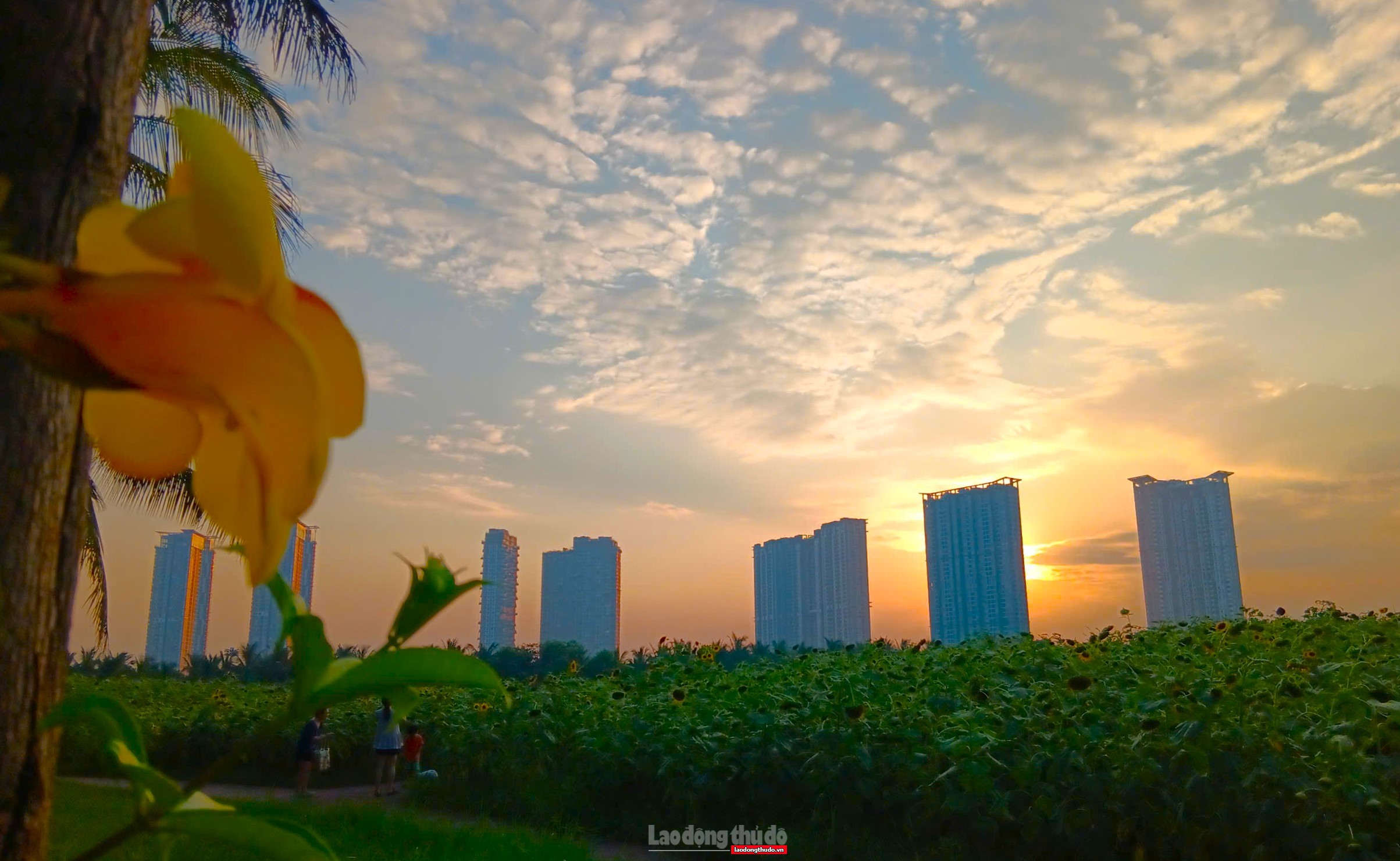 Bất động sản nghỉ dưỡng vẫn "ngủ đông" dài Bất động sản nghỉ dưỡng vẫn