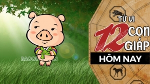 Tử vi hôm nay, xem tử vi 12 con giáp hôm nay ngày 23/3/2026: Tuổi Hợi tài chính hao hụt