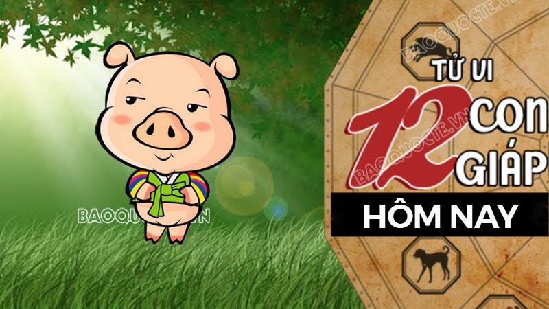 Tử vi hôm nay, xem tử vi 12 con giáp hôm nay ngày 23/3/2026: Tuổi Hợi tài chính hao hụt