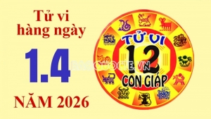 Tử vi hôm nay, xem tử vi 12 con giáp hôm nay ngày 1/4/2026: Tuổi Thân tránh đầu tư mạo hiểm