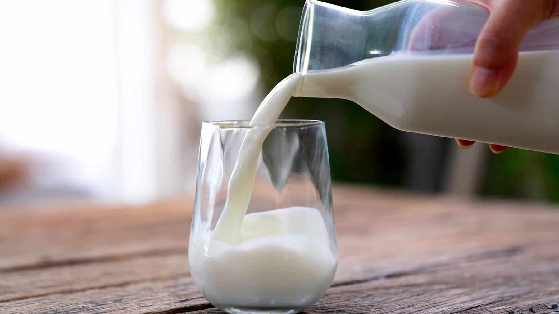 Uống nhiều sữa có tốt cho việc tăng cơ?