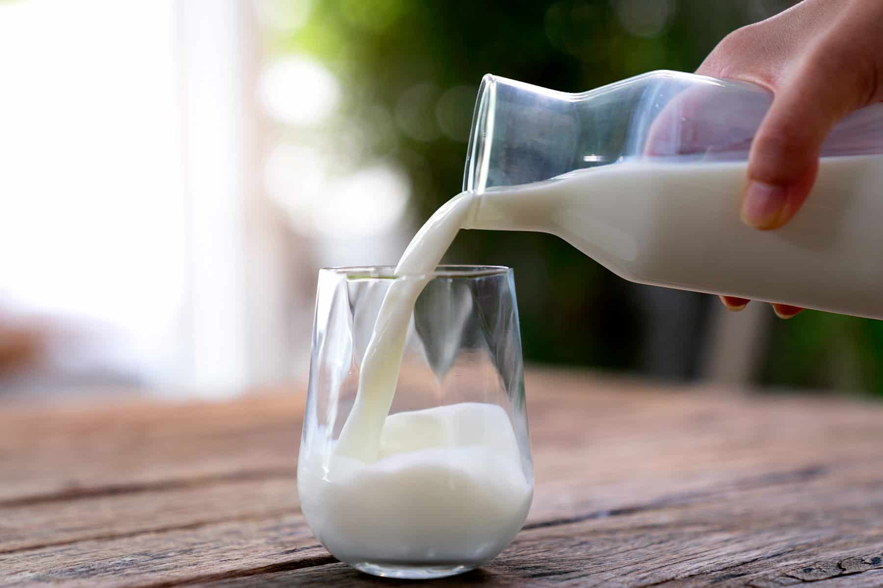 Uống nhiều sữa có tốt cho việc tăng cơ?