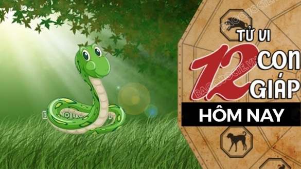 Tử vi hôm nay, xem tử vi 12 con giáp hôm nay ngày 22/4/2026: Tuổi Tỵ công việc thuận lợi