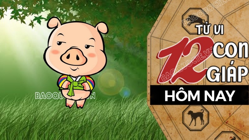 Tử vi hôm nay, xem tử vi 12 con giáp hôm nay ngày 28/4/2026: Tuổi Hợi tài chính dồi dào