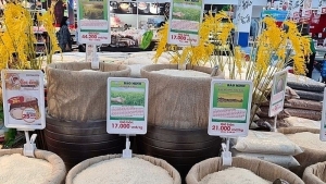 Nâng giá trị xuất khẩu gạo gắn với đảm bảo an ninh lương thực