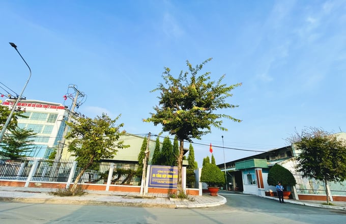 Công bố thông tin không đúng thời hạn, Công ty In Tổng hợp Bình Dương bị phạt