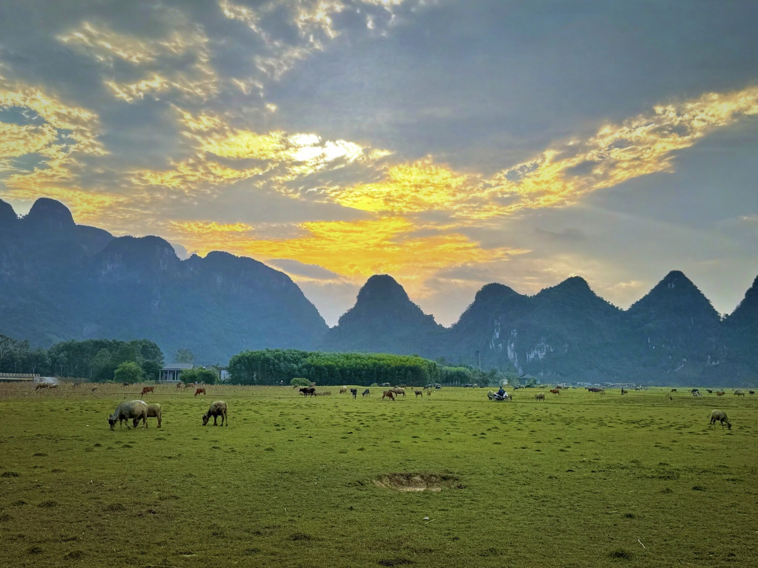 Những gợi ý hữu ích khi du lịch Quảng Bình Những gợi ý hữu ích khi du lịch Quảng Bình