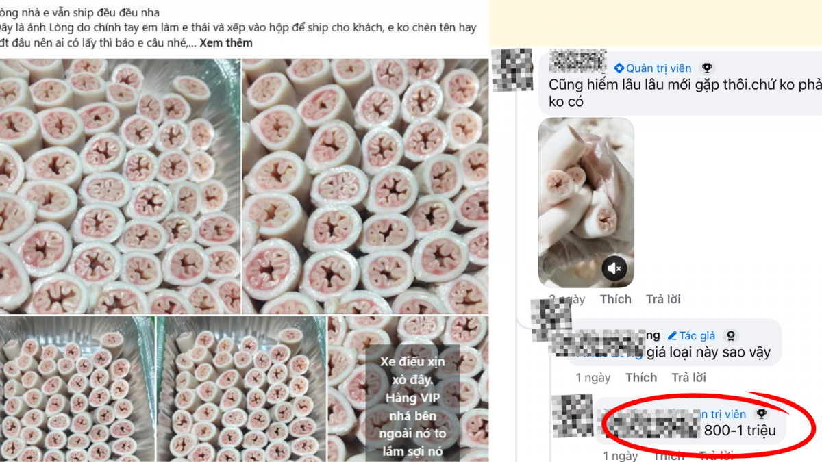 Thực hư lòng se điếu giá bạc triệu 1kg Thực hư lòng se điếu giá bạc triệu 1kg